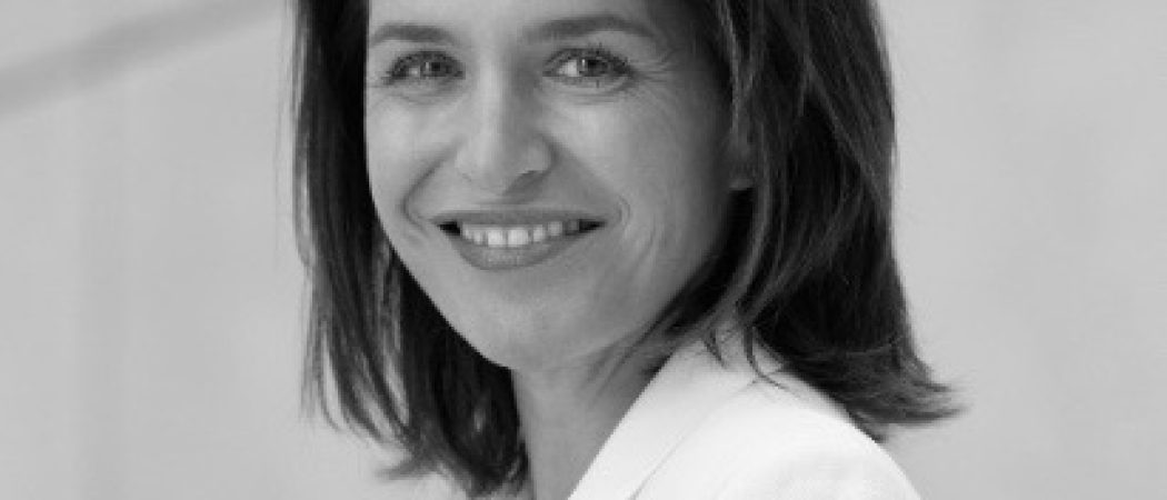 Christelle Morançais :  semble ressembler à un moustique qui cherche la lumière