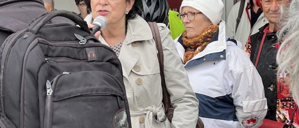 Conseil constitutionnel : la réaction de Michelle Meunier