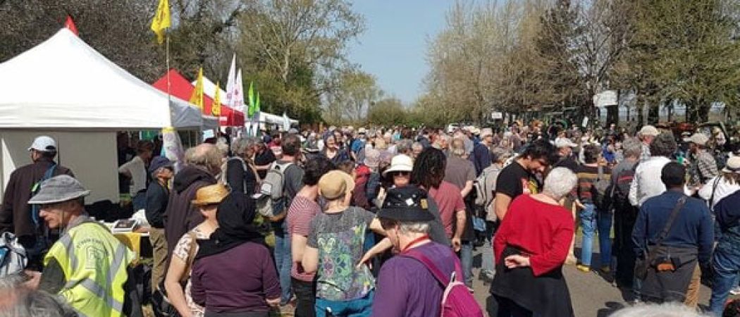 Cordemais : beaucoup de monde au pique nique « Cordemais sans nucléaire »