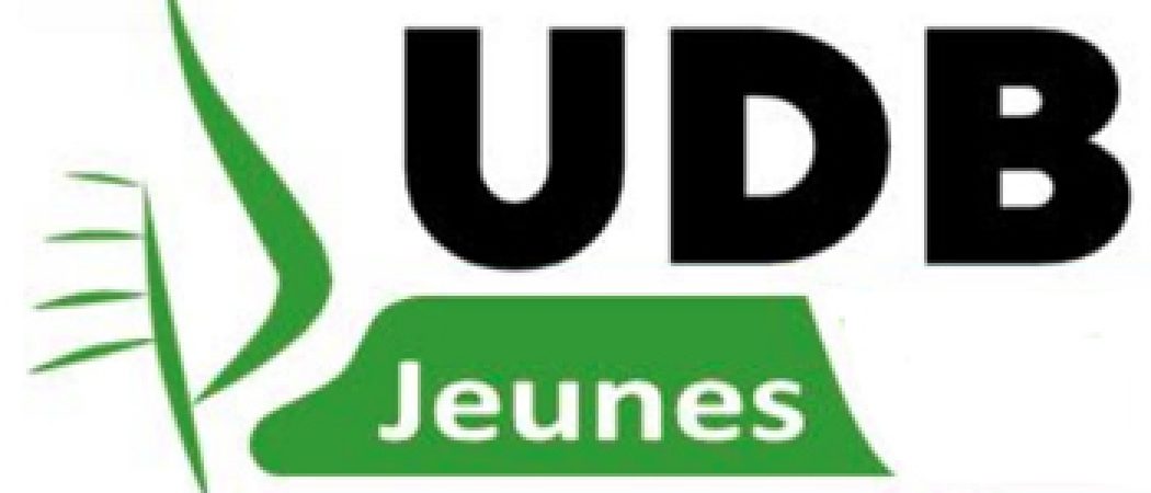 Les jeunes de l’UDB contre l'extraction de lithium en Bretagne