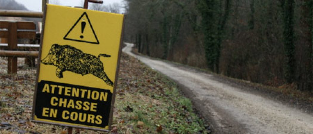 L’OFB et les chasseurs alertent sur la sécurité à la chasse