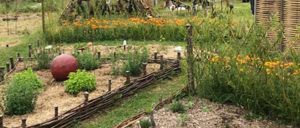 Promenade dans un jardin extraordinaire à Trégornan en Glomel centre Bretagne