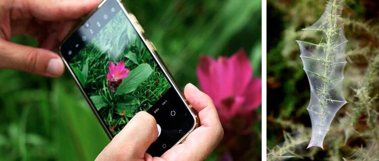 Image for twitter card